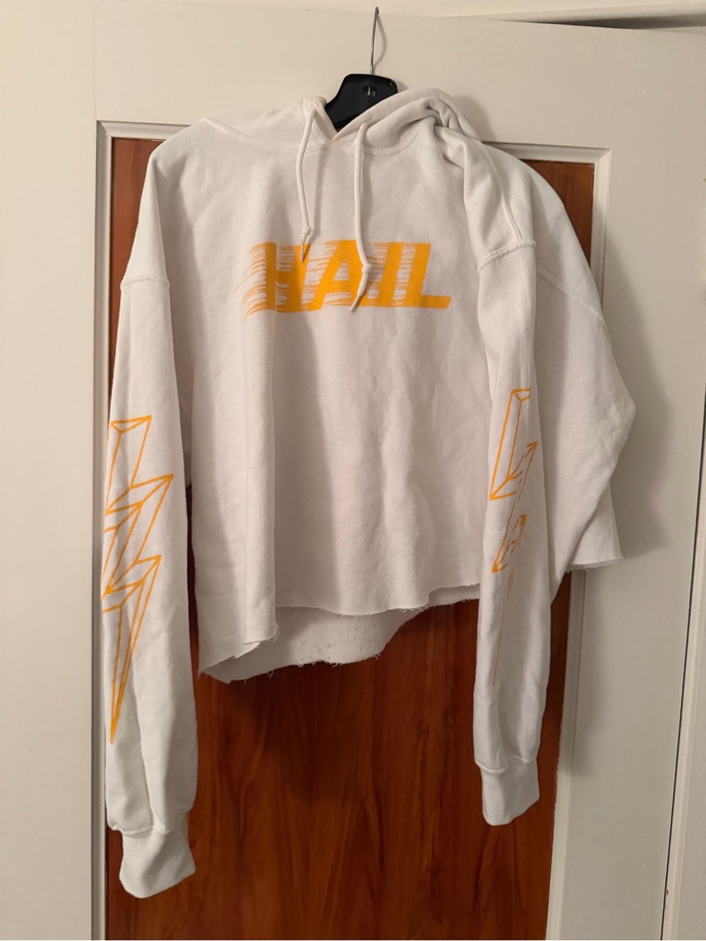 University of Michigan White Cropped Hoodie with Yellow 'HAIL' Graphic